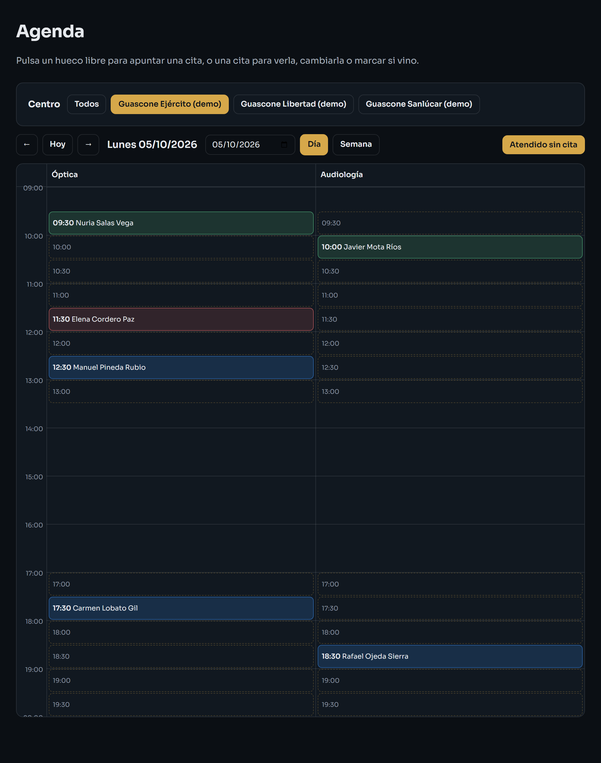 Pantalla de Agenda con las columnas de Óptica y Audiología y los huecos del día